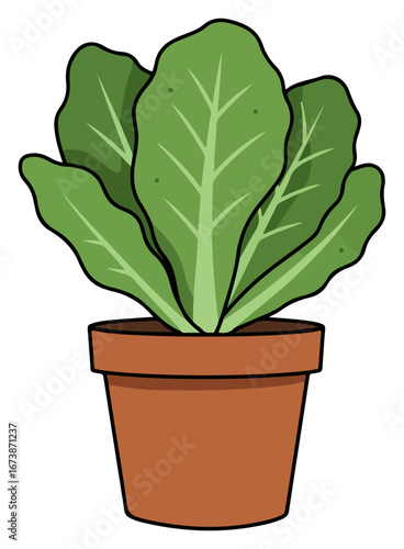 A potted lettuce plant with vibrant green leaves, illustrated in a simple, cartoonish style.