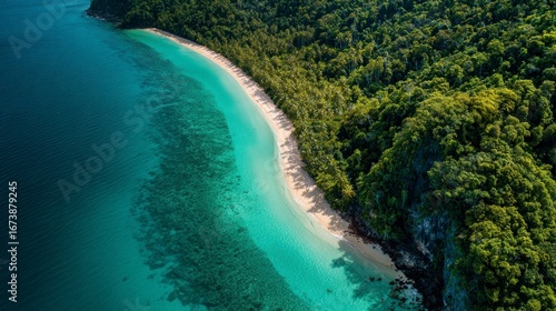 Tropical island beach aerial view
