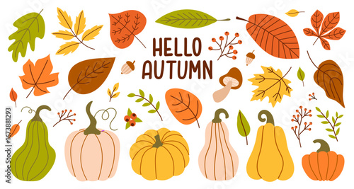 Autumn set colorful fallen leaves, acorns, pumpkins and branches isolated on white background. Hello Autumn text. Harvest time. Modern vector design