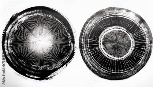 black ink stained brush circle imprints on paper black and white isolated on white designs for photoshop brushes stylize 50