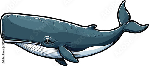 Cute cartoon a illustrator vector sperm whale