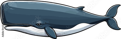 Cute cartoon a illustrator vector sperm whale