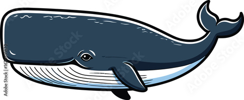 Cute cartoon a illustrator vector sperm whale