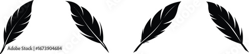Four black feather silhouettes facing different directions silhouette
