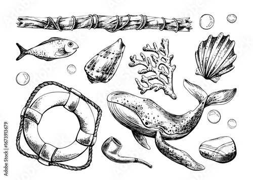 Hand drawn line art illustration of whale, fish, lifebuoy, seashells and bubbles. Black ink marine collection with seaweed and branch, perfect for clipart, nautical fantasy and creative artworks.