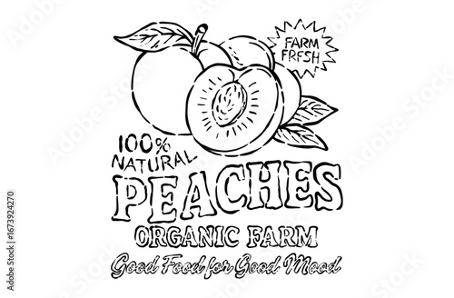 Natural Organic Peaches illustration. Farm Fresh Fruit art. Vintage Label Retro Badge Vector Illustration