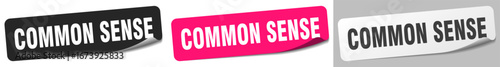 common sense sticker. common sense sticker set on white background
