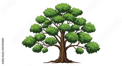 A large tree with a thick trunk and many green leaves on branches