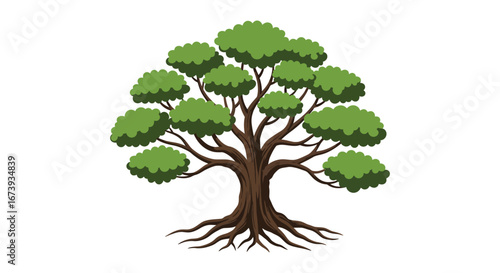 A tree with a thick trunk and many branches and roots