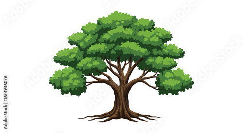 A large green tree with a thick trunk and roots on a white background
