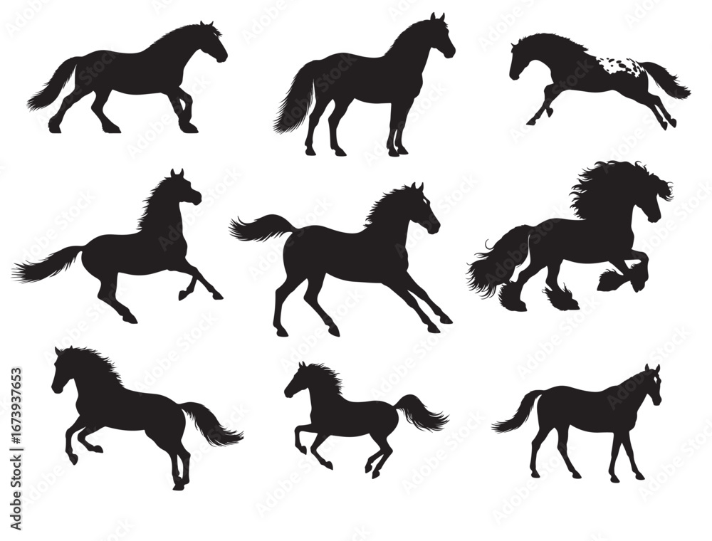 Obraz premium A set of horse in silhouette image.