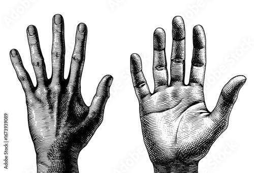 Two hands in detailed woodcut with open palms and back side