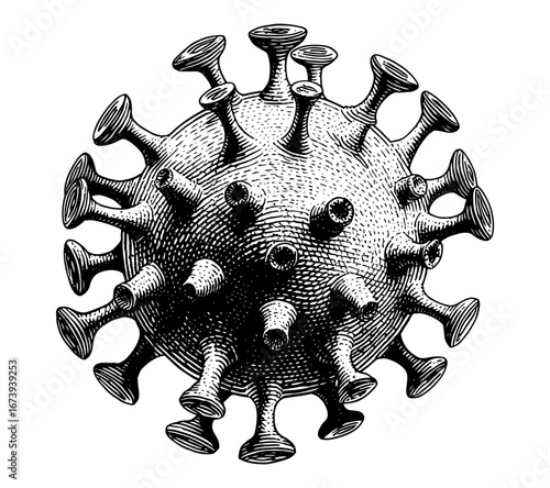 Coronavirus virion in a detailed woodblock print style in black and white representing pandemics and virology