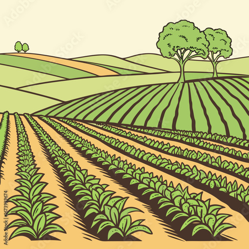 Rolling green agricultural fields with rows of young plants and trees under a pale sky