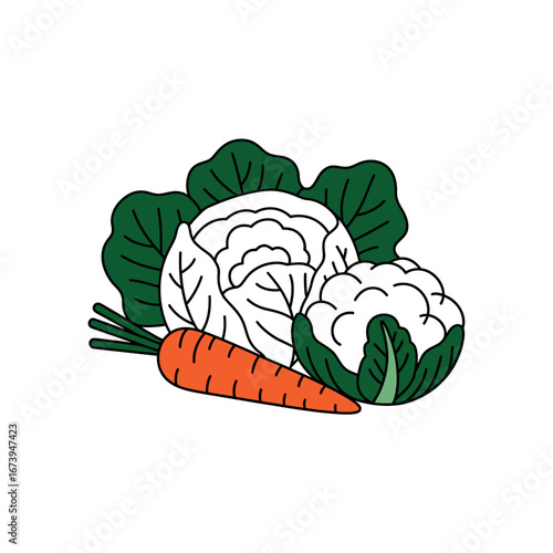 Orange carrot with white cauliflower and green cabbage leaves vegetables food