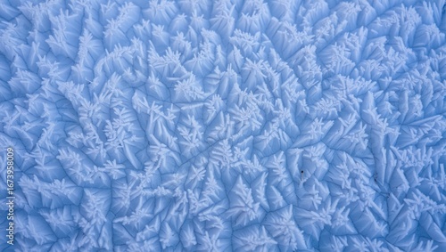 Intricate frost patterns creating a delicate winter wonderland