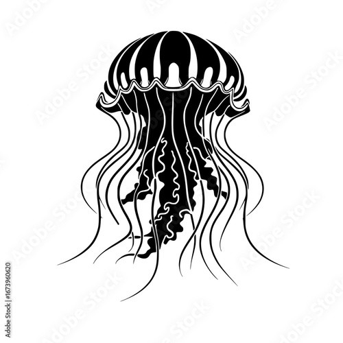 Elegant black jellyfish silhouette drifts gracefully through ocean depths evoking marine wonder and natural beauty.