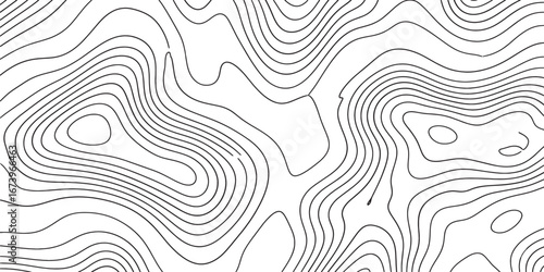 Topographical Contours of an Undulating Abstract Landscape