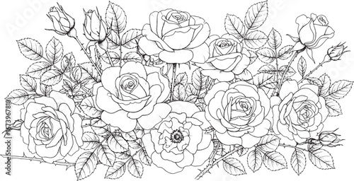 An Elegant Cluster of Blooming Rose Blossoms