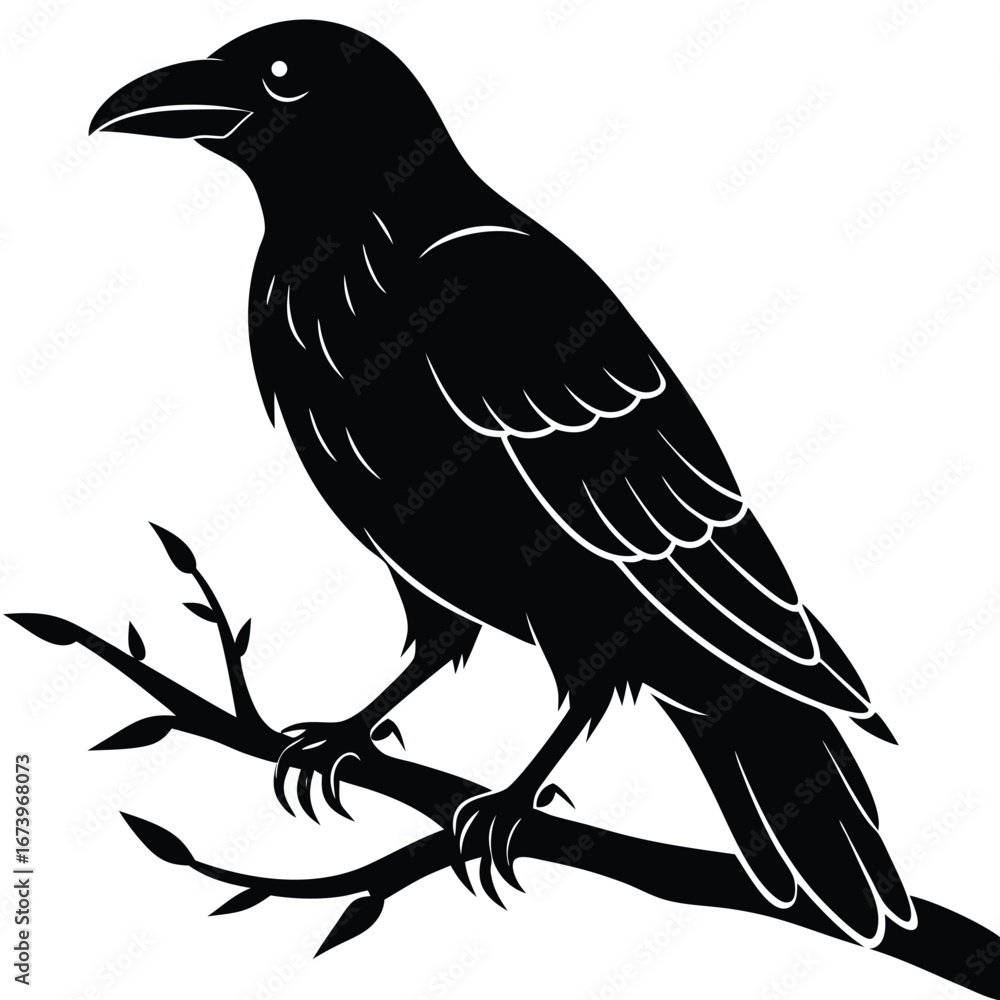 Fototapeta premium Black raven perched on a bare branch silhouette crow