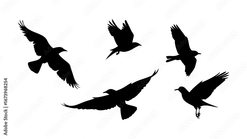 Obraz premium Birds in flight and perched on branches silhouette