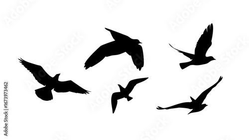 Diverse bird silhouettes in flight and perched flying