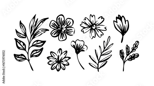 Hand Drawn Ink Floral Elements flowers leaves