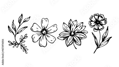 Hand Drawn Ink Floral Elements flowers leaves