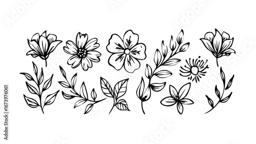 Hand Drawn Ink Floral Elements flowers leaves