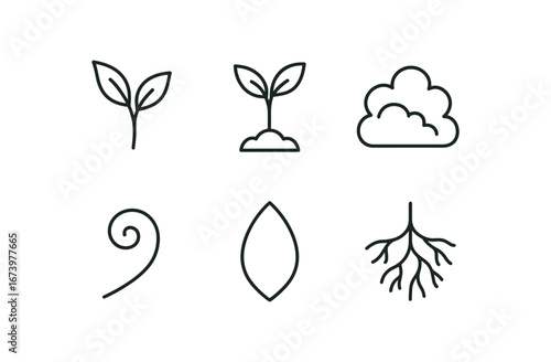 simple outline stroke icon isolated on white background: plant flora tree sapling bush form vine curl petal shape root line