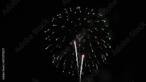 Spectacular Red Fireworks Burst Illuminating the Dark Night Sky