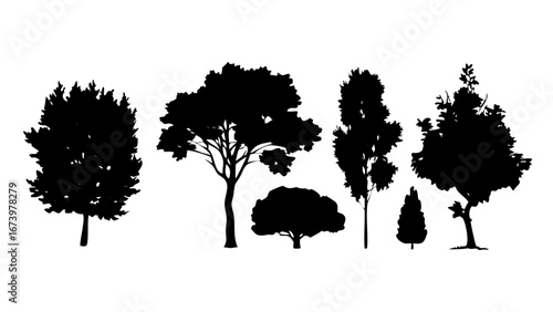 Minimalist Trees and Pine Needles Silhouette black