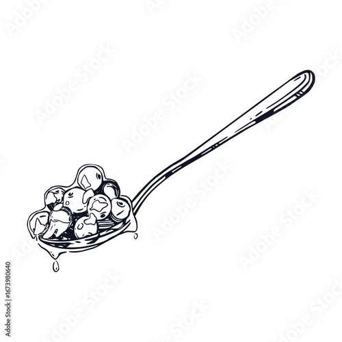 Teaspoon with viburnum berry jam, all objects are hand-drawn with ink. Vector illustration is suitable for printing on paper, fabric, packaging and shop window designs. Vector illustration