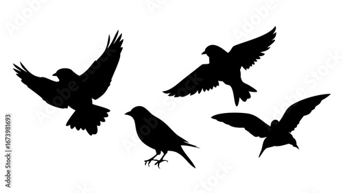 Sparrows in flight birds flying