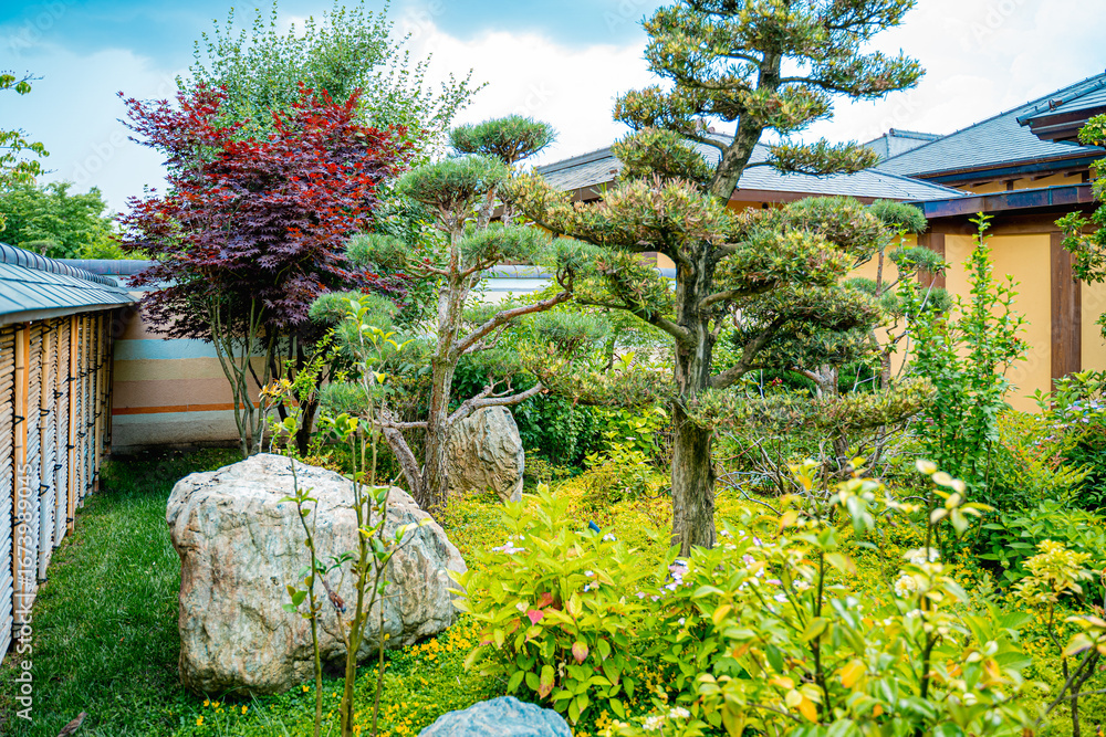 Obraz premium beautiful natural scenic picture with green grass, neat lawn, stones and green trees, bushes, colorful trees and grass, with stone slabs in Japanese style