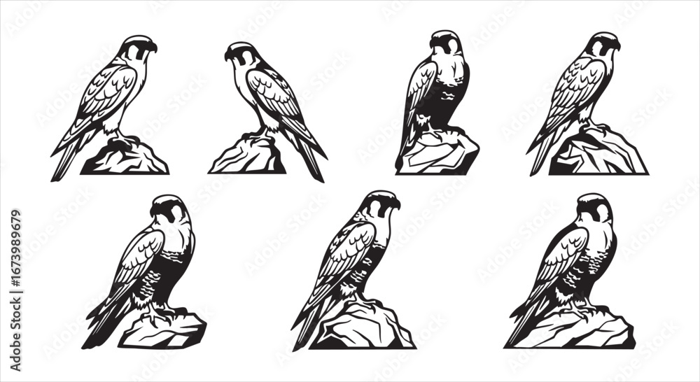 Fototapeta premium Illustration of falcons perched on rocks, isolated on white background, showcasing their majestic features and predatory nature in a minimalist design