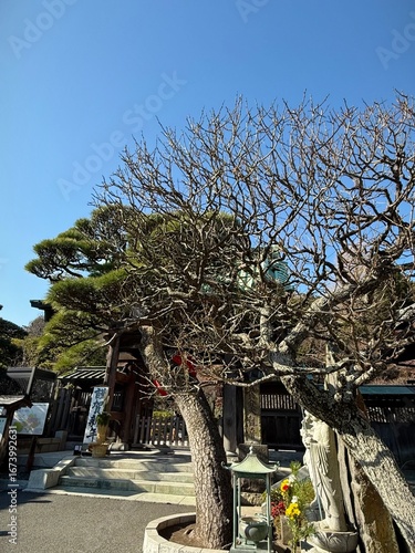 japanese temple in kyoto japan