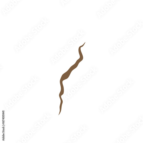 A crack in the ground from an earthquake