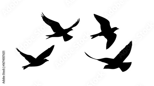 Flock of Crows in Flight Silhouette birds flying