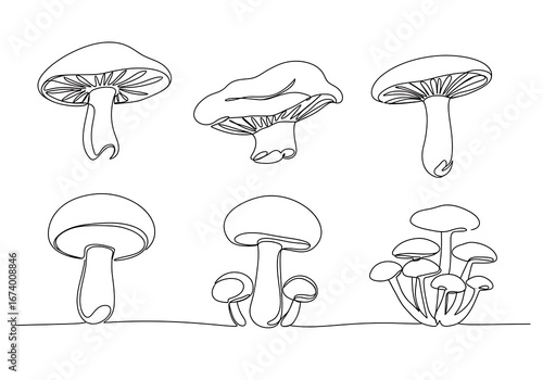 Fungal Forms: A Line's Embrace