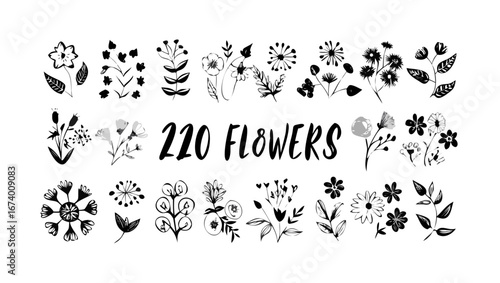 Hand Drawn Floral Elements In Black And White botanical nature