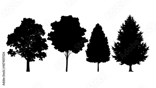 Minimalist Black Silhouette of Trees and Pond nature water