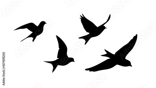 Flock of birds in flight and perched on white background flying silhouette