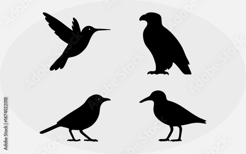 American Most Popular Birds Silhouette Set