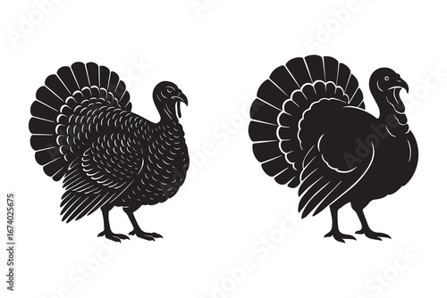 Turkey bird silhouette with white background
