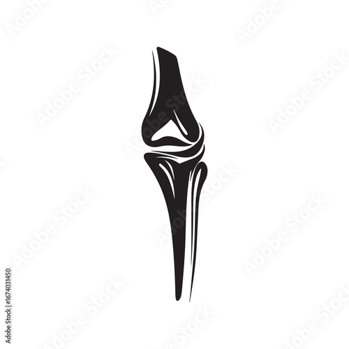 Artistic Black Silhouette of Human Knee Joint Anatomy Isolated