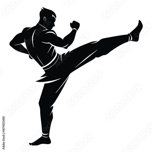 Black silhouette of a man performing a high kick martial arts 1