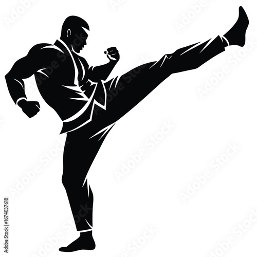 Black silhouette of a man performing a martial arts kick 2