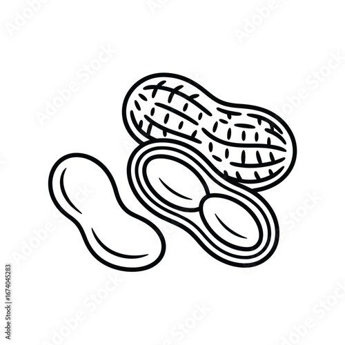 Hand drawn illustration of peanuts in a shell and split open