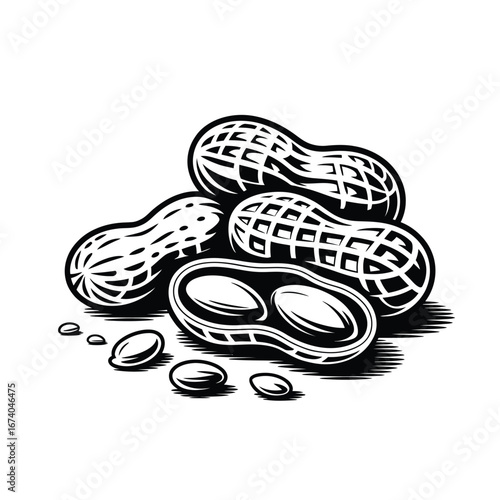 Hand drawn illustration of peanuts in shell and shelled kernels